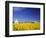 Spring Canola Crop-Terry Eggers-Framed Photographic Print