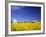 Spring Canola Crop-Terry Eggers-Framed Photographic Print