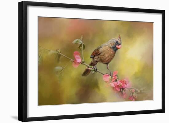 Spring Cardinal 1-Jai Johnson-Framed Giclee Print
