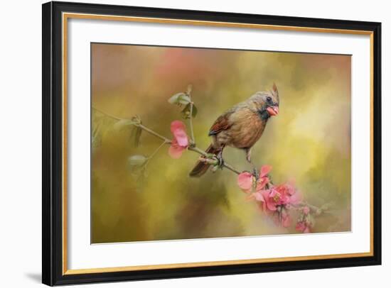 Spring Cardinal 1-Jai Johnson-Framed Giclee Print