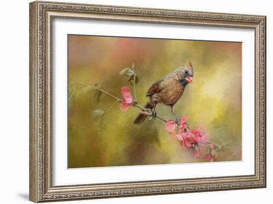 Spring Cardinal 1-Jai Johnson-Framed Giclee Print