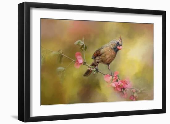 Spring Cardinal 1-Jai Johnson-Framed Giclee Print