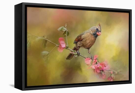 Spring Cardinal 1-Jai Johnson-Framed Premier Image Canvas