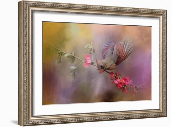 Spring Cardinal 2-Jai Johnson-Framed Giclee Print