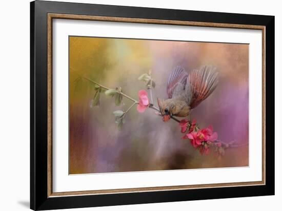 Spring Cardinal 2-Jai Johnson-Framed Giclee Print