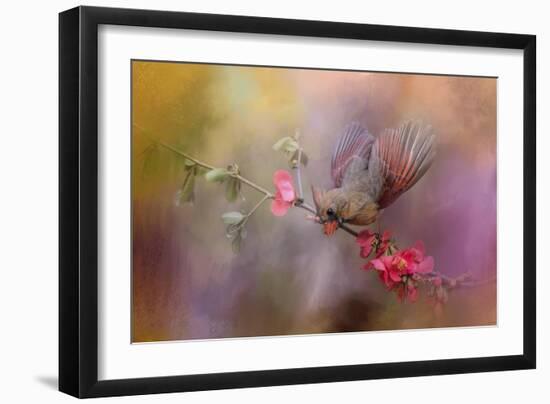 Spring Cardinal 2-Jai Johnson-Framed Giclee Print