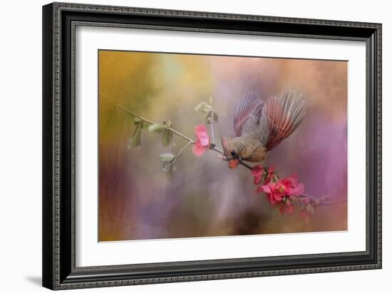 Spring Cardinal 2-Jai Johnson-Framed Giclee Print