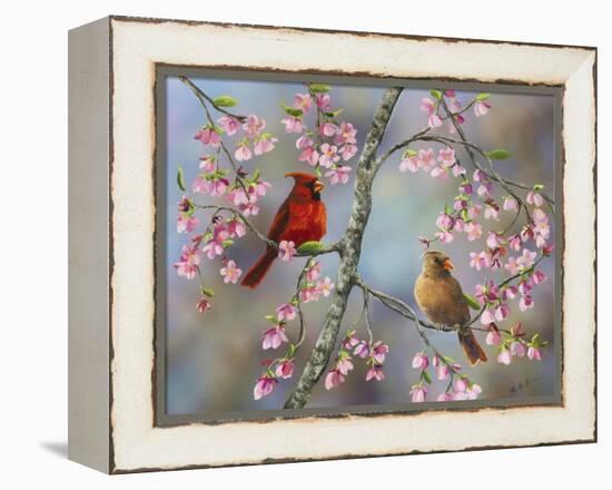 Spring Cardinals-Sarah Davis-Framed Premier Image Canvas