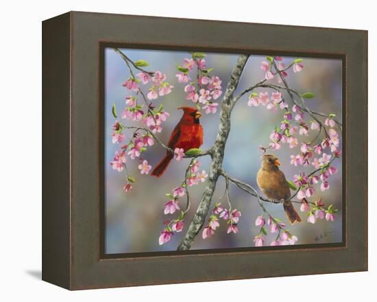 Spring Cardinals-Sarah Davis-Framed Premier Image Canvas
