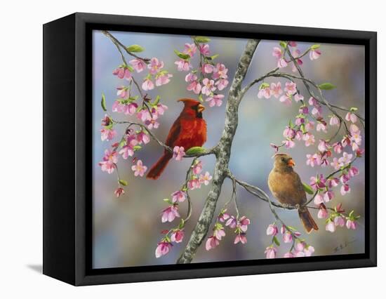 Spring Cardinals-Sarah Davis-Framed Premier Image Canvas