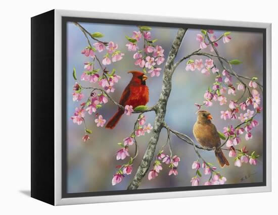 Spring Cardinals-Sarah Davis-Framed Premier Image Canvas