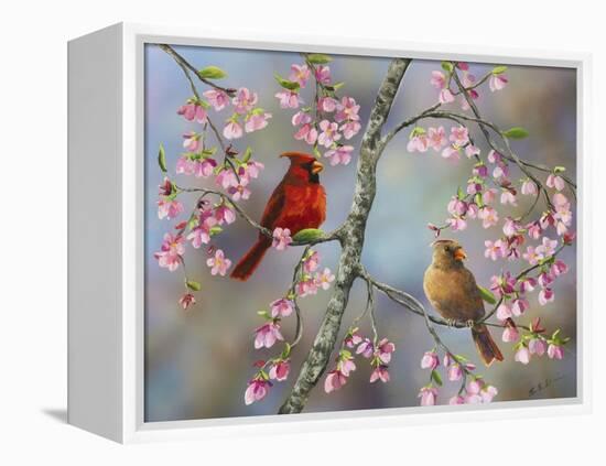 Spring Cardinals-Sarah Davis-Framed Premier Image Canvas