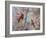 Spring Cardinals-Sarah Davis-Framed Giclee Print