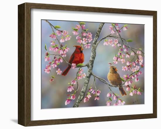 Spring Cardinals-Sarah Davis-Framed Giclee Print