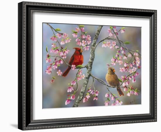 Spring Cardinals-Sarah Davis-Framed Giclee Print