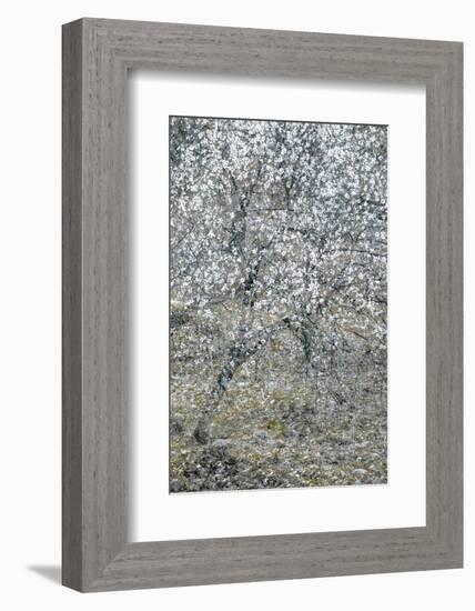 Spring Cascade-Doug Chinnery-Framed Photographic Print