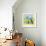 Spring Cat and Dog-Geraldine Aikman-Framed Giclee Print displayed on a wall
