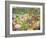 Spring Cats-Hilary Jones-Framed Giclee Print