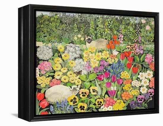 Spring Cats-Hilary Jones-Framed Premier Image Canvas