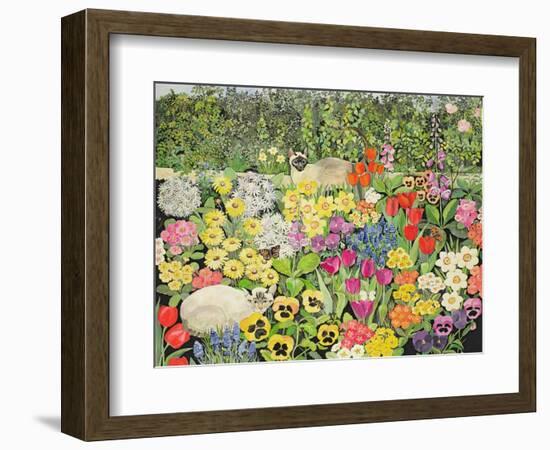 Spring Cats-Hilary Jones-Framed Premium Giclee Print