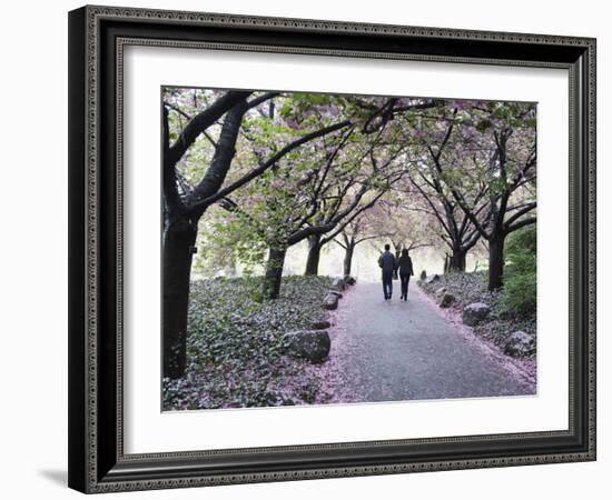 Spring Cherry Blossom, Brooklyn Botanical Garden, Brooklyn-Christian Kober-Framed Photographic Print