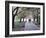 Spring Cherry Blossom, Brooklyn Botanical Garden, Brooklyn-Christian Kober-Framed Photographic Print