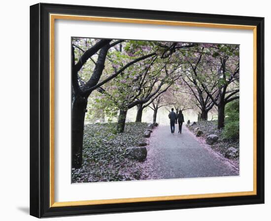 Spring Cherry Blossom, Brooklyn Botanical Garden, Brooklyn-Christian Kober-Framed Photographic Print