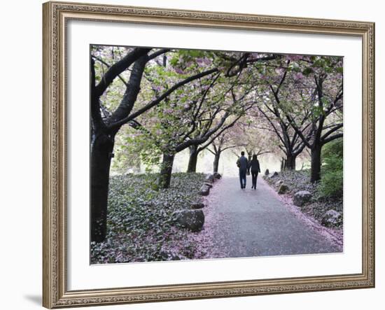 Spring Cherry Blossom, Brooklyn Botanical Garden, Brooklyn-Christian Kober-Framed Photographic Print