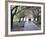 Spring Cherry Blossom, Brooklyn Botanical Garden, Brooklyn-Christian Kober-Framed Photographic Print