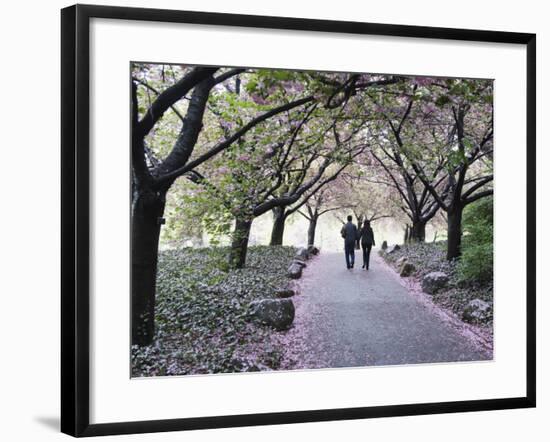 Spring Cherry Blossom, Brooklyn Botanical Garden, Brooklyn-Christian Kober-Framed Photographic Print