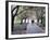 Spring Cherry Blossom, Brooklyn Botanical Garden, Brooklyn-Christian Kober-Framed Photographic Print