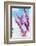 Spring Cherry Blossom Festival, Jinhei, South Korea, Asia-Christian Kober-Framed Photographic Print