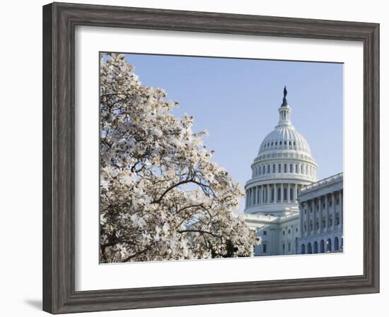 Spring Cherry Blossom, the Capitol Building, Capitol Hill, Washington D.C.-Christian Kober-Framed Photographic Print