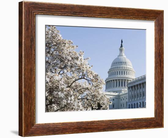 Spring Cherry Blossom, the Capitol Building, Capitol Hill, Washington D.C.-Christian Kober-Framed Photographic Print