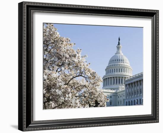 Spring Cherry Blossom, the Capitol Building, Capitol Hill, Washington D.C.-Christian Kober-Framed Photographic Print