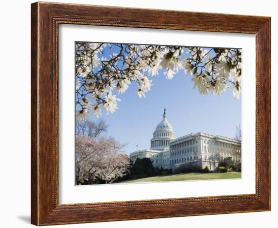 Spring Cherry Blossom, the Capitol Building, Capitol Hill, Washington D.C.-Christian Kober-Framed Photographic Print