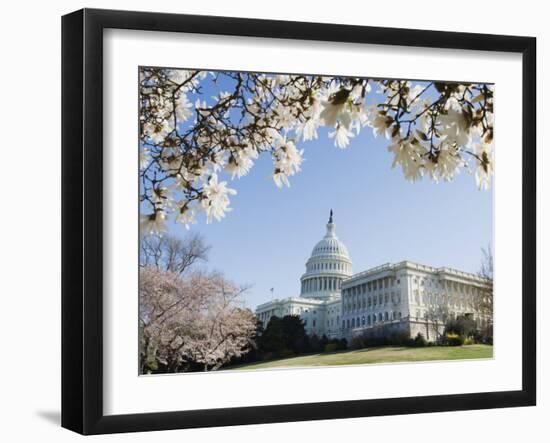 Spring Cherry Blossom, the Capitol Building, Capitol Hill, Washington D.C.-Christian Kober-Framed Photographic Print