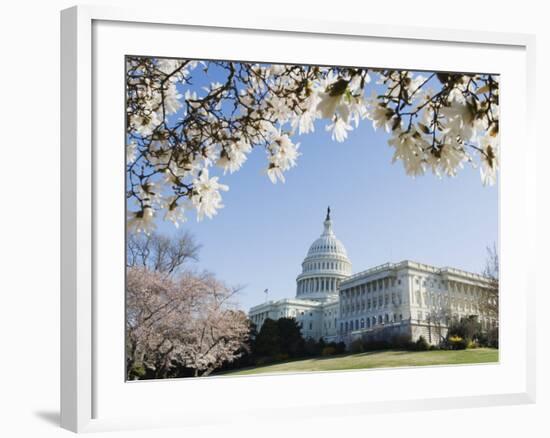 Spring Cherry Blossom, the Capitol Building, Capitol Hill, Washington D.C.-Christian Kober-Framed Photographic Print