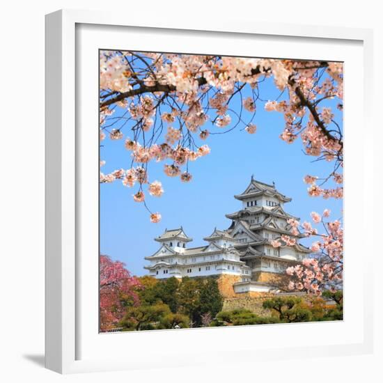 Spring Cherry Blossoms and the Main Tower of the UNESCO World Heritage Site: Himeji Castle, also Ca-S R Lee Photo Traveller-Framed Photographic Print