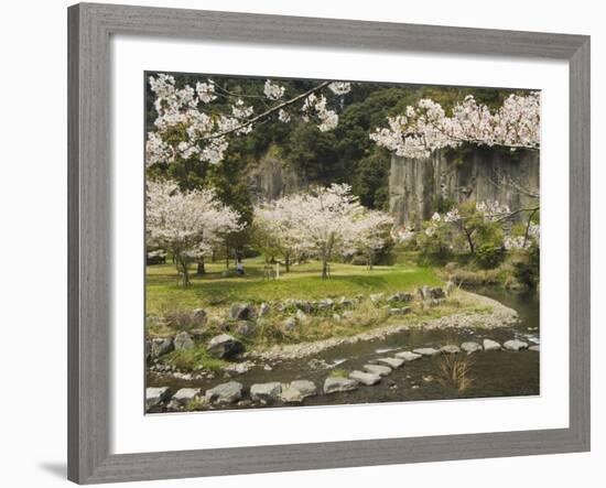 Spring Cherry Blossoms Near River with Stepping Stones, Kagoshima Prefecture, Kyushu, Japan-Christian Kober-Framed Photographic Print