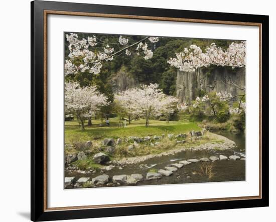 Spring Cherry Blossoms Near River with Stepping Stones, Kagoshima Prefecture, Kyushu, Japan-Christian Kober-Framed Photographic Print