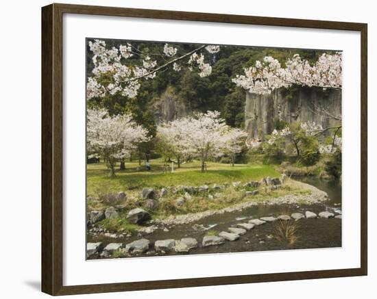 Spring Cherry Blossoms Near River with Stepping Stones, Kagoshima Prefecture, Kyushu, Japan-Christian Kober-Framed Photographic Print