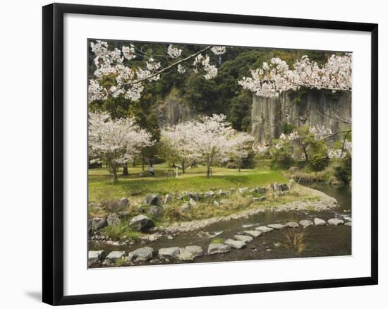 Spring Cherry Blossoms Near River with Stepping Stones, Kagoshima Prefecture, Kyushu, Japan-Christian Kober-Framed Photographic Print