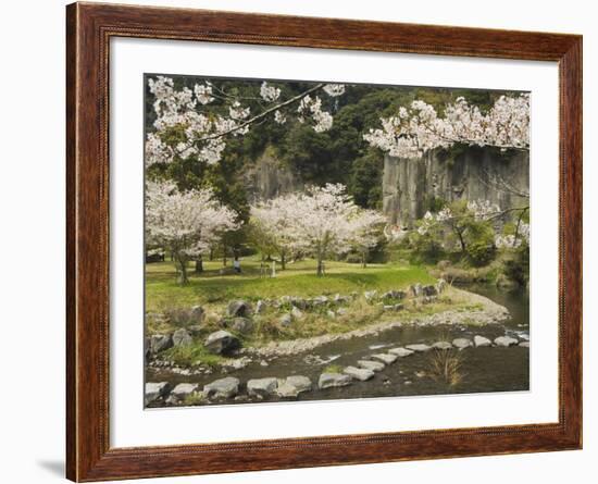 Spring Cherry Blossoms Near River with Stepping Stones, Kagoshima Prefecture, Kyushu, Japan-Christian Kober-Framed Photographic Print