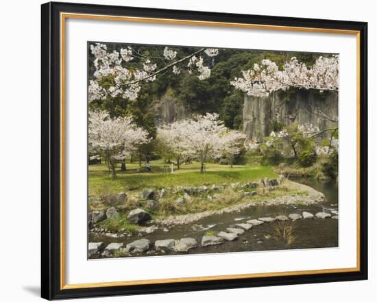 Spring Cherry Blossoms Near River with Stepping Stones, Kagoshima Prefecture, Kyushu, Japan-Christian Kober-Framed Photographic Print