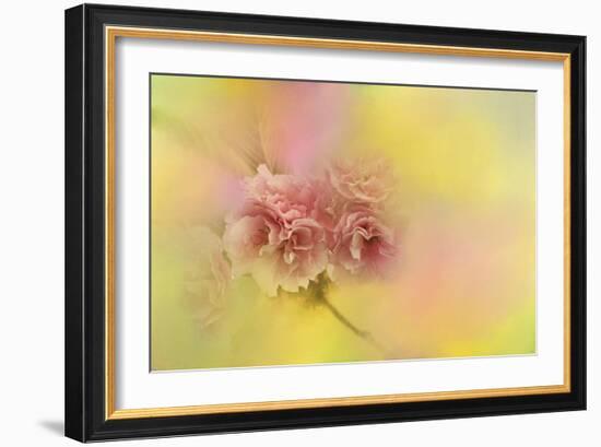 Spring Cherry Blossoms-Jai Johnson-Framed Giclee Print