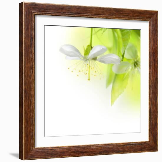 Spring Cherry Flowers-Subbotina Anna-Framed Art Print