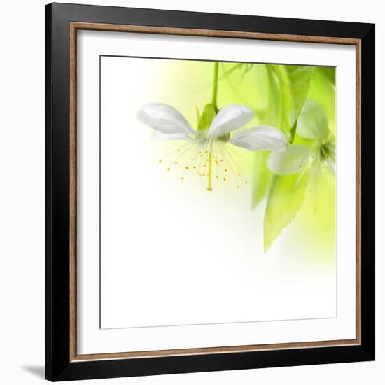 Spring Cherry Flowers-Subbotina Anna-Framed Art Print