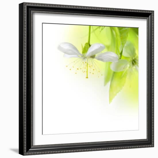 Spring Cherry Flowers-Subbotina Anna-Framed Art Print