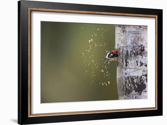 Spring Cleaning-Olof Petterson-Framed Photographic Print